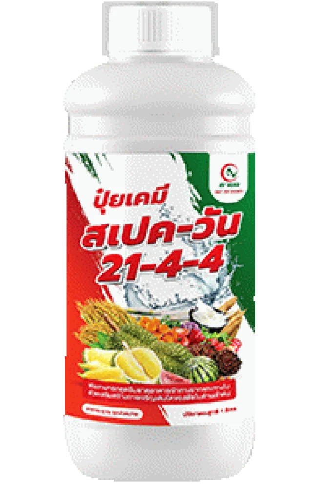 สเปค-วัน